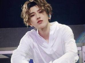 娱乐圈吃瓜白鹿蔡徐坤,白鹿与蔡徐坤的瓜界传奇